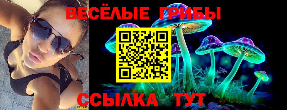 Сарапул  Псилоцибиновые грибы Psilocybe  Псилоцибиновые грибы прущие грибы  Вход с VPN 