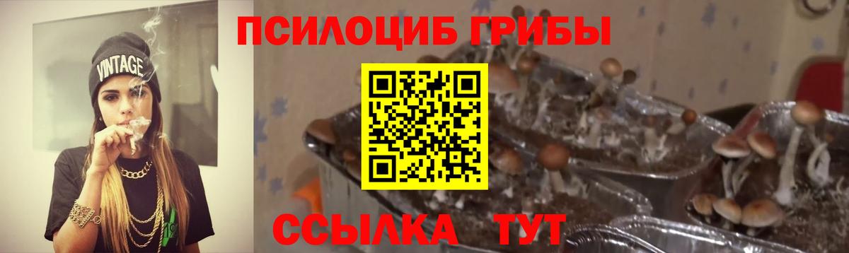 Галлюциногенные грибы мицелий Сарапул